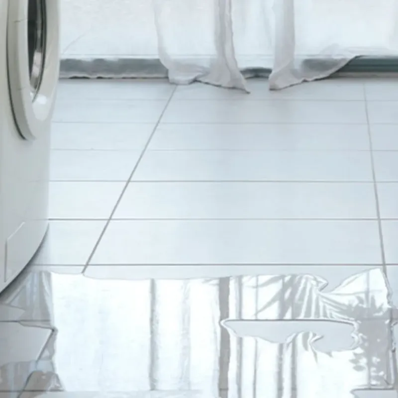 Appliance Leak Cleanup in Villa Park, IL
