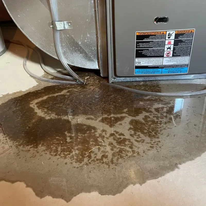 Pipe Burst and Leak Restoration in Villa Park, IL